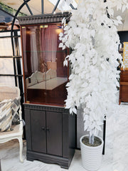 Lighted curio cabinet
