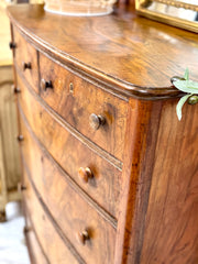 Vintage burl wood chest on casters ￼